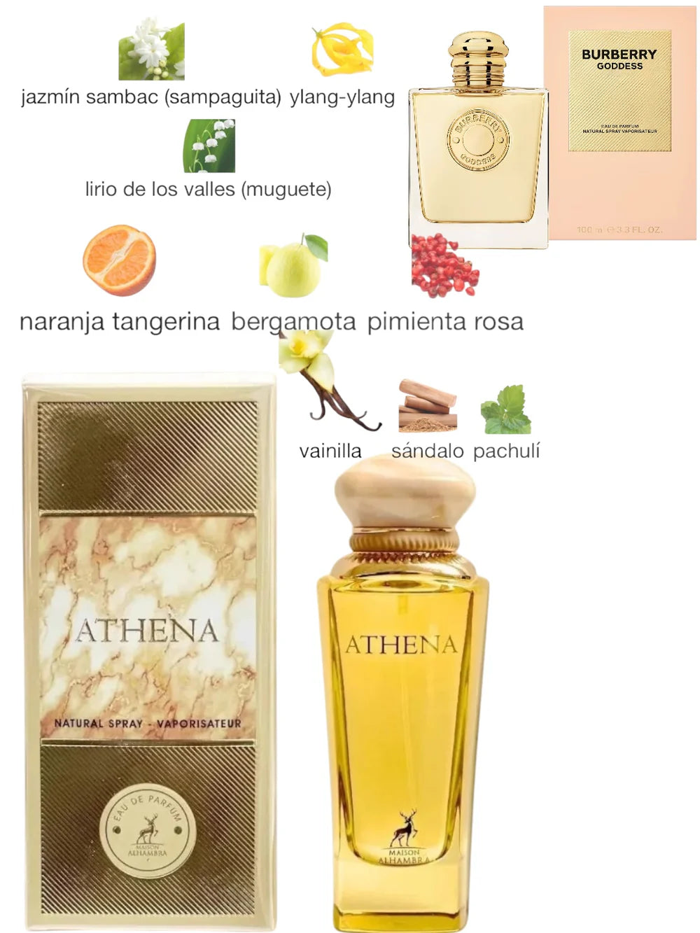 ATHENAS MAISON ALHAMBRA EDP 100ml
